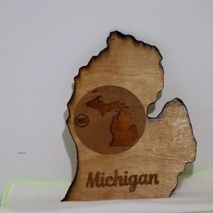 Custom laser engraved lower peninsula of Michigan.  Deep 3-D laser engraving.